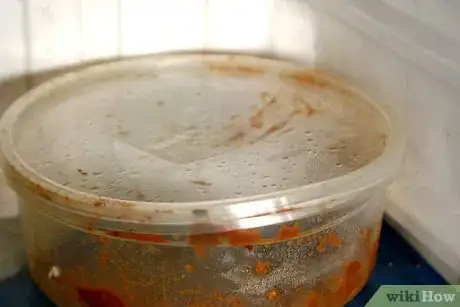 Image titled Freeze Salsa Step 15