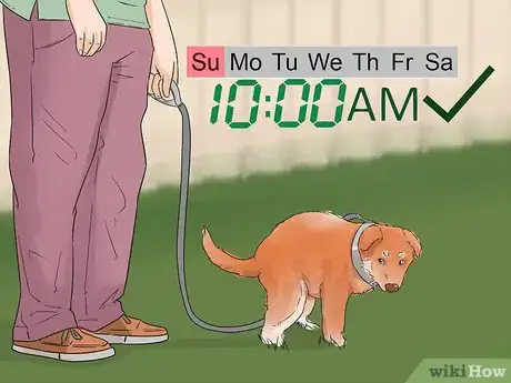 Image titled House Train Your Dog in Less than a Week Step 1
