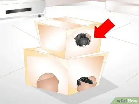 Image titled Keep Your Rabbit Slim Step 7