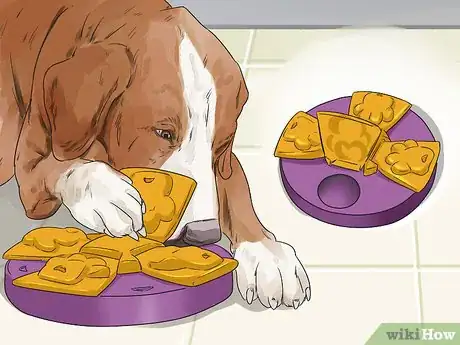 Image titled Exercise Your Dog Step 2