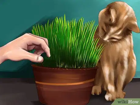 Image titled Encourage Your Cat's Hunting Instinct Step 10