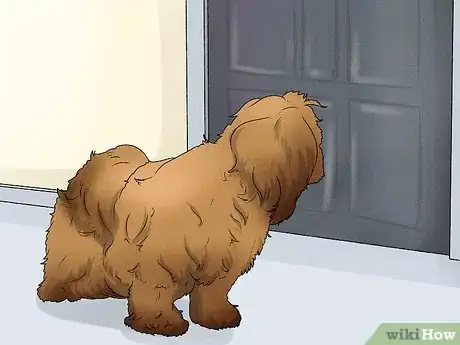 Image titled Identify a Pekingese Step 12