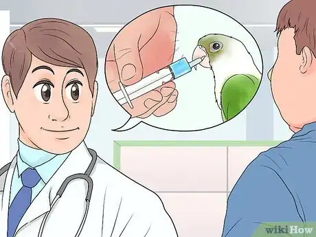 Image titled Treat Chlamydiosis in Conures Step 3