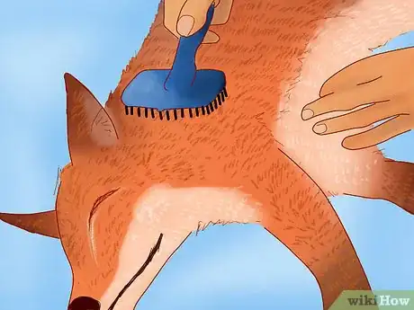 Image titled Groom a Pet Fox Step 8