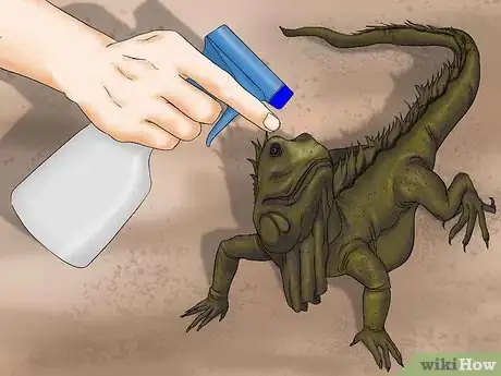 Image titled Help a Shedding Pet Reptile Step 4