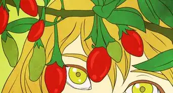 Grow Goji Berry Plants