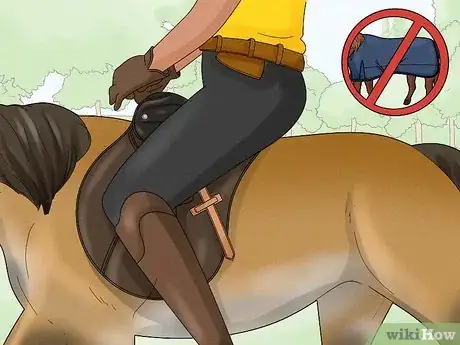 Image titled Take off a Horse Blanket Step 7