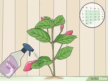 Image titled Fight Fuschia Gall Mites Step 7