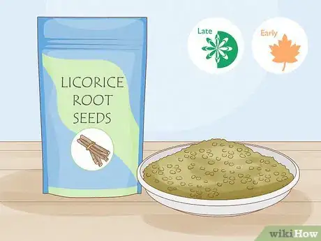 Image titled Grow Licorice Root Step 1