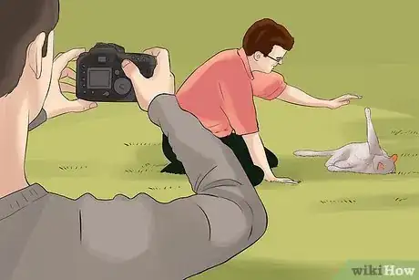 Image titled Take Photos of Adoptable Cats Step 11