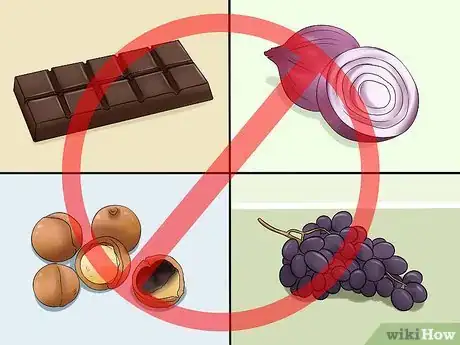 Image titled Care for Shelties Step 11