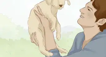 Send Supplies to Puerto Rico