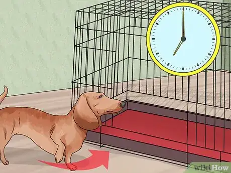 Image titled Crate Train Dachshunds Step 12