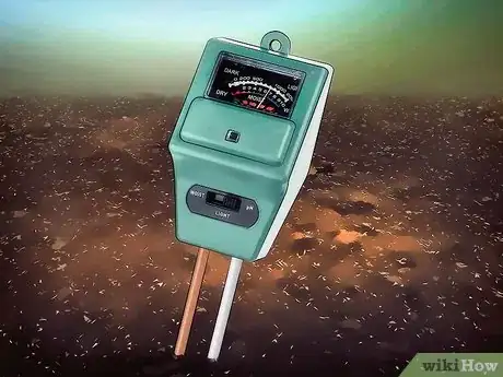 Image titled Grow Amaranth Flowers Step 5