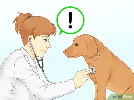 Image titled Treat Depression in Dogs Step 6