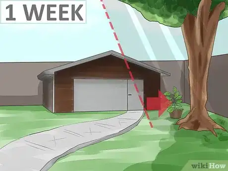 Image titled Bring Plants Indoors over Winter Step 4