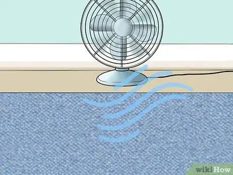 Image titled Remove Pet Stains Step 7