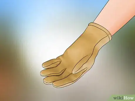 Image titled Kill Leaf Footed Bugs Step 7