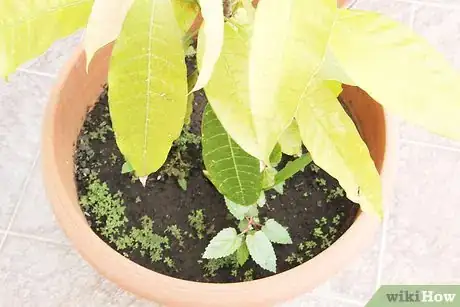 Image titled Make a Gardening Journal Step 4