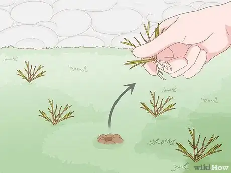 Image titled Care for a Garden (for Renters) Step 4