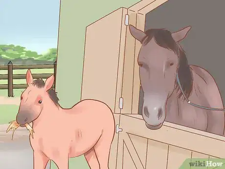 Image titled Wean a Foal Step 13