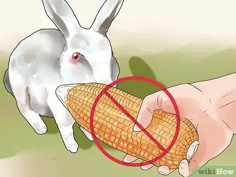 Image titled Choose Rabbit Food Step 6
