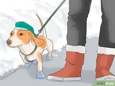 Image titled Help Your Dog Move in the Snow Step 3