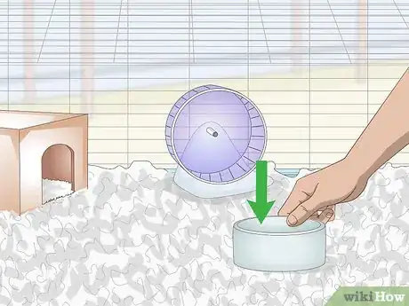 Image titled House a Pet Guinea Pig Step 8