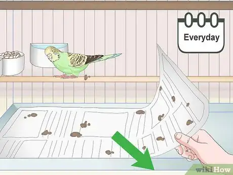 Image titled Own a Parakeet Step 12