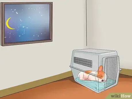 Image titled Get Used to a New Dog Step 15