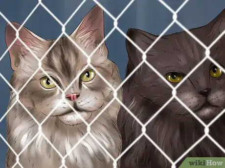 Image titled Choose a Kid Friendly Cat Step 3