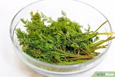 Image titled Make Carrot Top Pesto Step 1