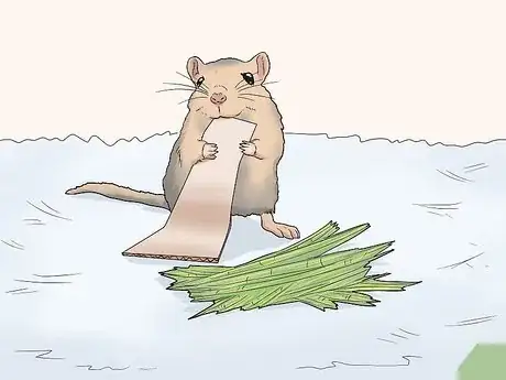 Image titled Make a Comfortable Gerbil Home Step 8