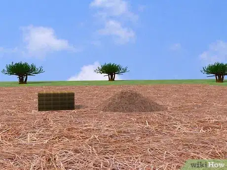 Image titled Make a Straw Broom Step 1