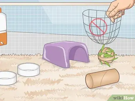 Image titled Ensure a Happy Life for Your Guinea Pig Step 10