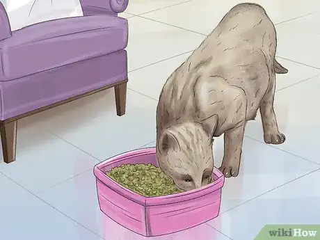 Image titled Capture an Angry or Upset Cat Step 17