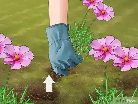 Image titled Reduce Bee Poisoning from Pesticides Step 18