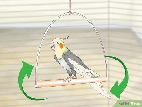 Image titled Entertain a Cockatiel Step 2