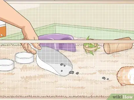 Image titled Ensure a Happy Life for Your Guinea Pig Step 24