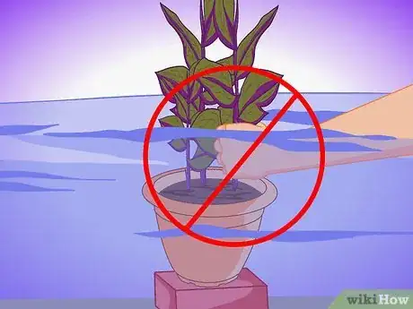 Image titled Plant Aquatic Plants Step 24