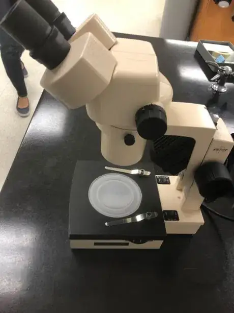 Image titled Right side view