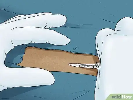 Image titled Care for an American Bobtail Cat Step 14