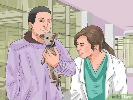 Image titled Prevent Roundworms in Dogs Step 8