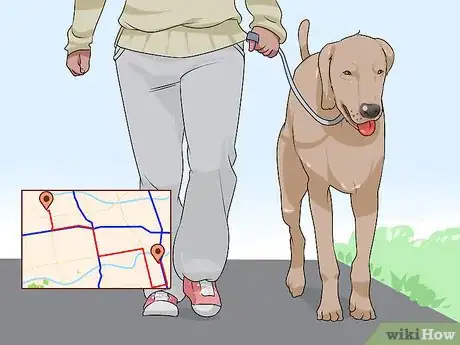 Image titled Live with a Dog with a High Prey Drive Step 5