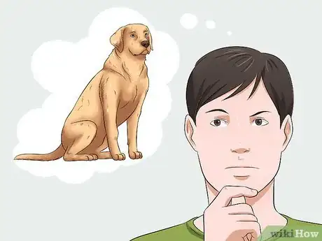 Image titled Select a Labrador Retriever Step 3