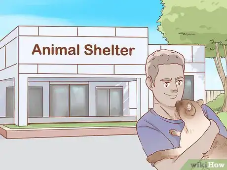 Image titled Find the Right Cat Breed for You Step 12