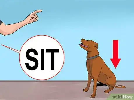 Image titled Care for an American Pit Bull Terrier Step 6