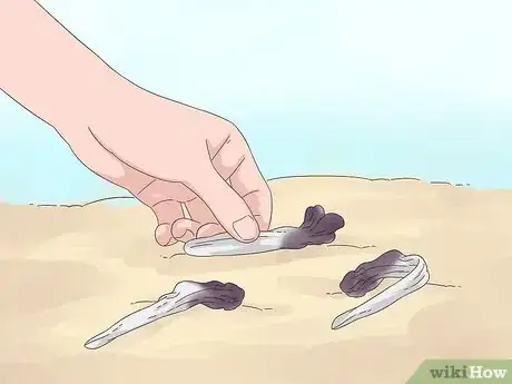 Image titled Prune Petunias Step 2