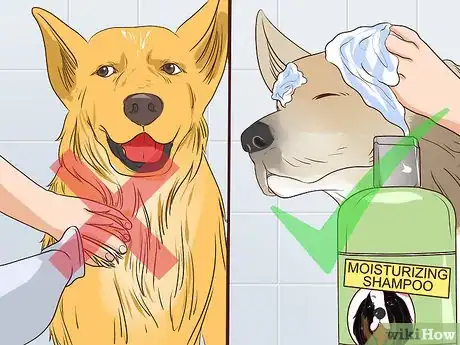 Image titled Prevent Older Dogs from Creating Lick or Scratch Sores Step 6