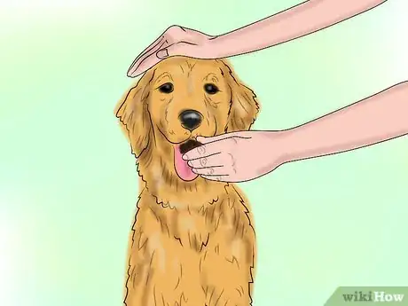 Image titled Calm a Dog With Natural Remedies Step 12